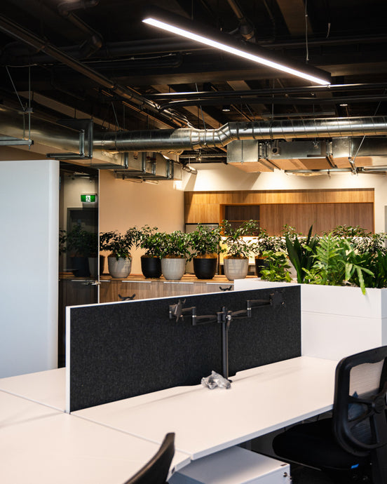 Gallagher - Hobsonville
