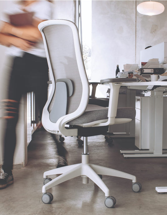 How to choose an office chair with adjustable back support