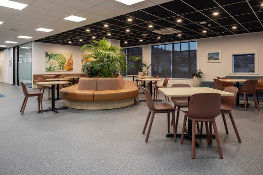 Gallagher Insurance - Dunedin