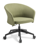 Eden Clove 5-Star Swivel Base