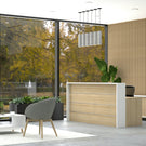 Accent Euro I Reception Counter