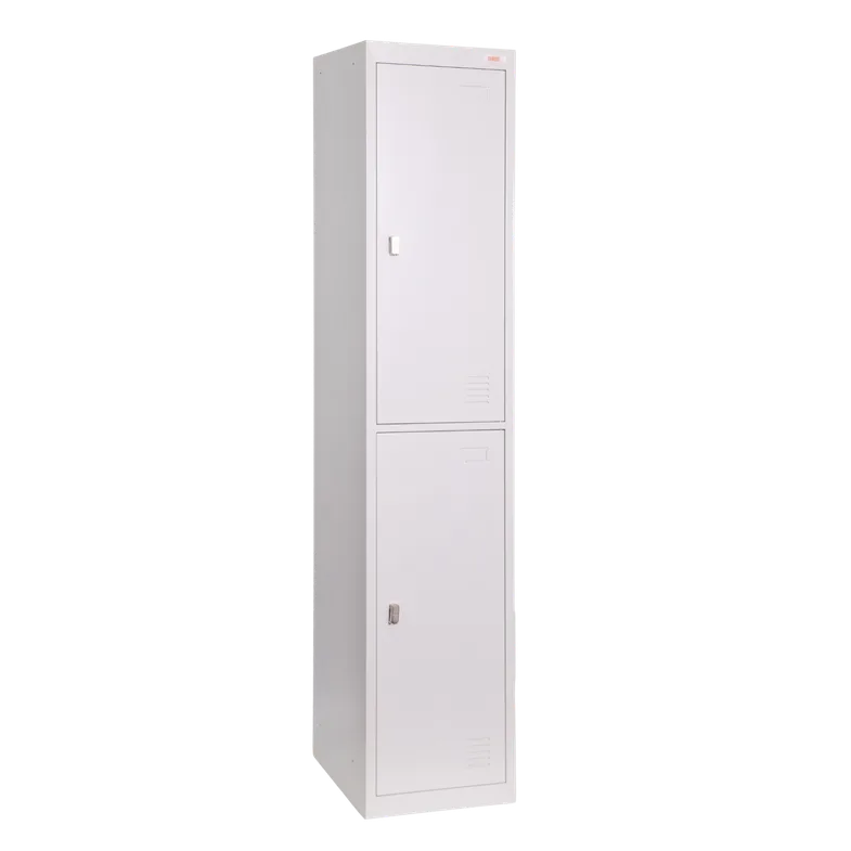 Proceed Locker 2 Door