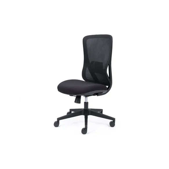 Load image into Gallery viewer, Chair Solutions Ava Chair
