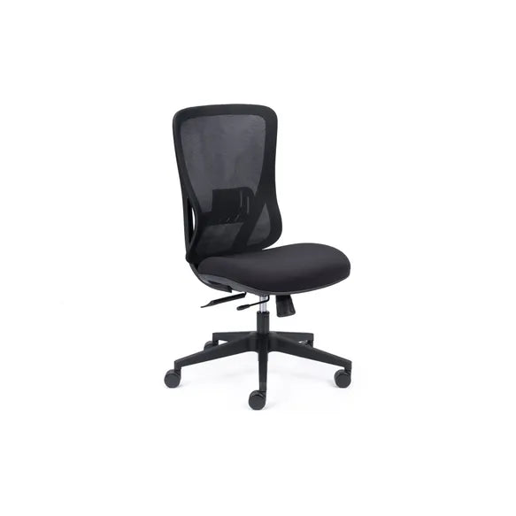 Load image into Gallery viewer, Chair Solutions Ava Chair
