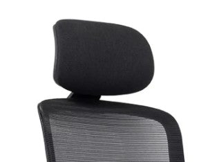 Elan Headrest