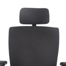 Mentor Headrest