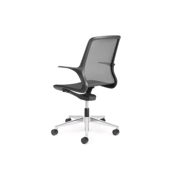 Load image into Gallery viewer, Chair Solutions Ovidio 5-Star Chair
