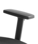 Eden Height Adjustable Arms Coach